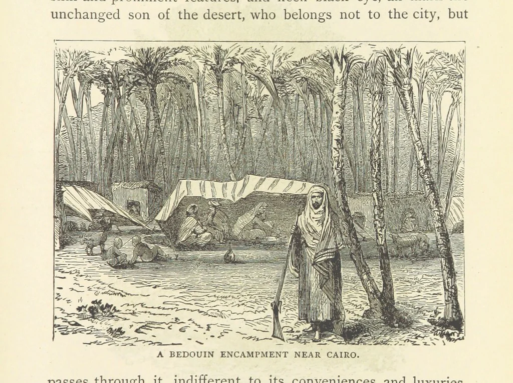 An illustration from Backsheesh! or, Life and Adventures in the Orient. With descriptive and humorous sketches. ... With ... illustrations, etc, 1875, leaf 695