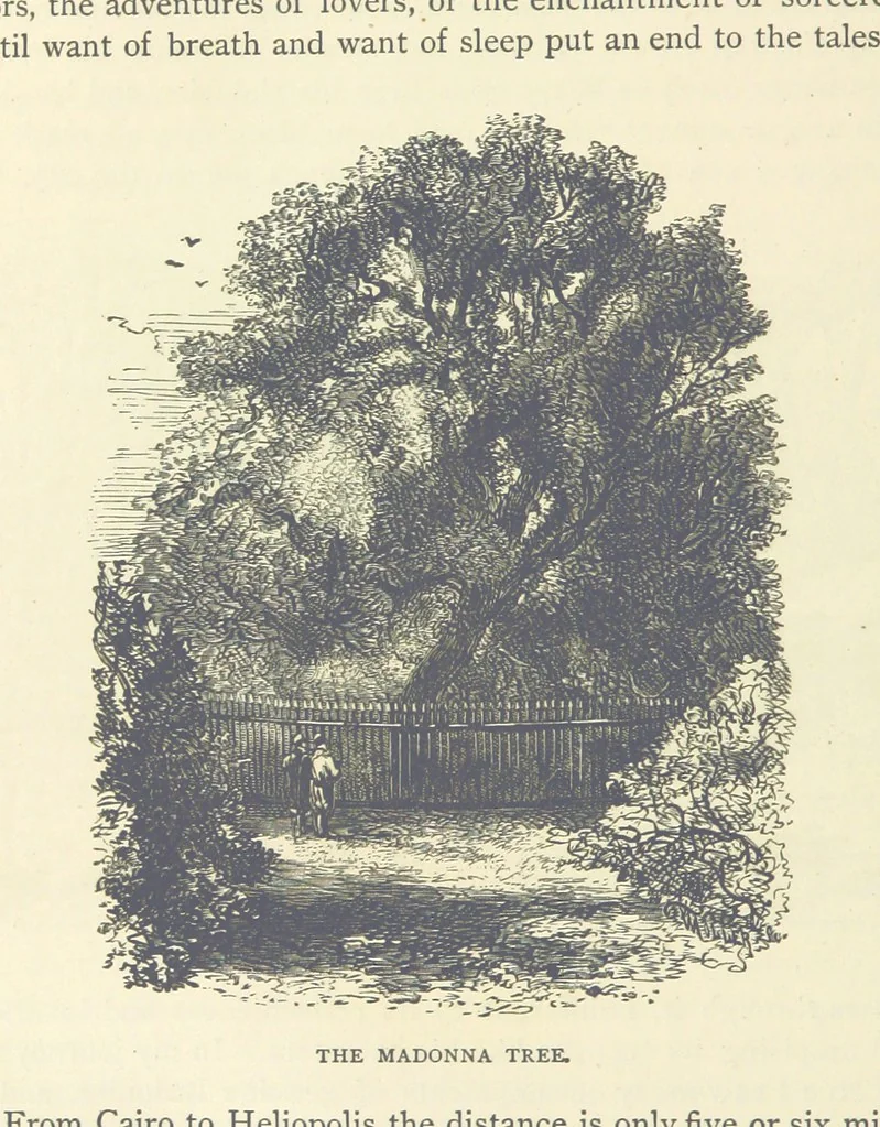 An illustration from Backsheesh! or, Life and Adventures in the Orient. With descriptive and humorous sketches. ... With ... illustrations, etc, 1875, leaf 696