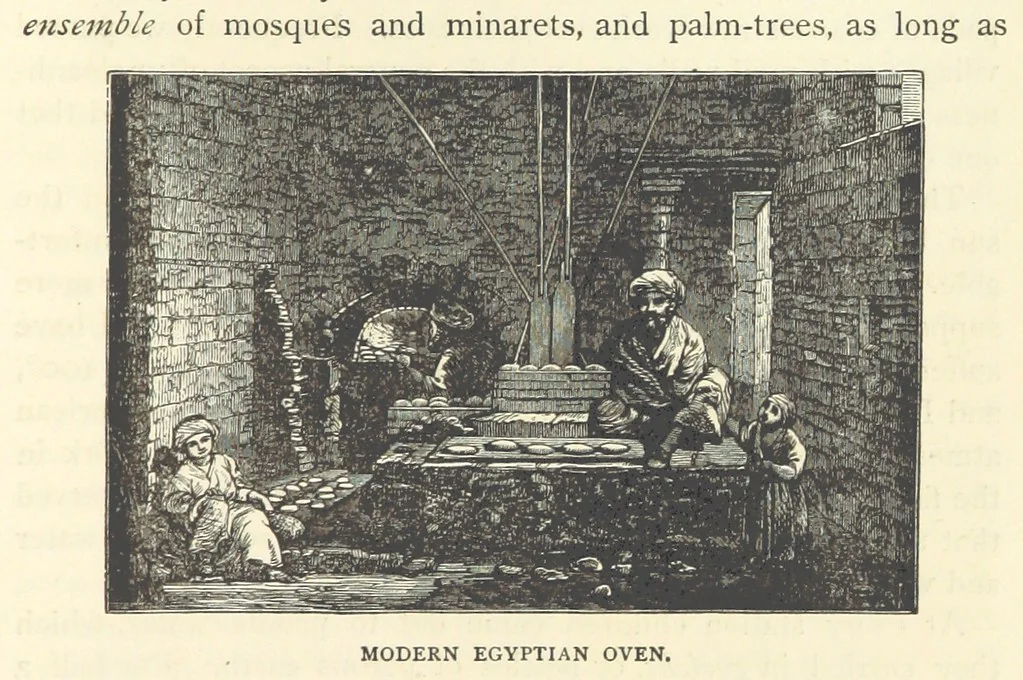 An illustration from Backsheesh! or, Life and Adventures in the Orient. With descriptive and humorous sketches. ... With ... illustrations, etc, 1875, leaf 703