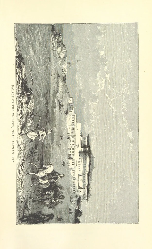 An illustration from Backsheesh! or, Life and Adventures in the Orient. With descriptive and humorous sketches. ... With ... illustrations, etc, 1875, leaf 709