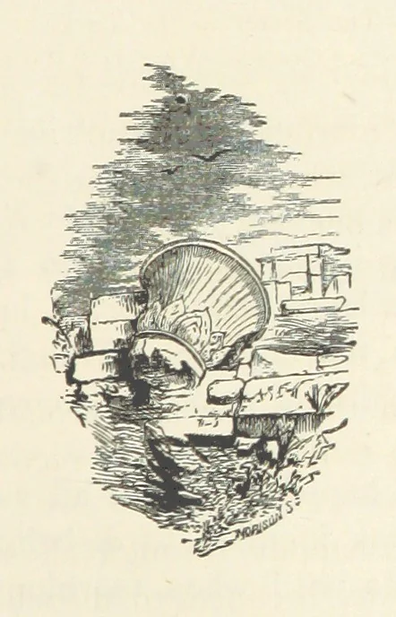 An illustration from Backsheesh! or, Life and Adventures in the Orient. With descriptive and humorous sketches. ... With ... illustrations, etc, 1875, leaf 91