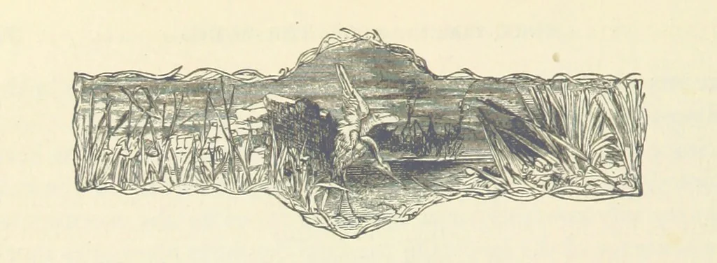 An illustration from Backsheesh! or, Life and Adventures in the Orient. With descriptive and humorous sketches. ... With ... illustrations, etc, 1875, leaf 92