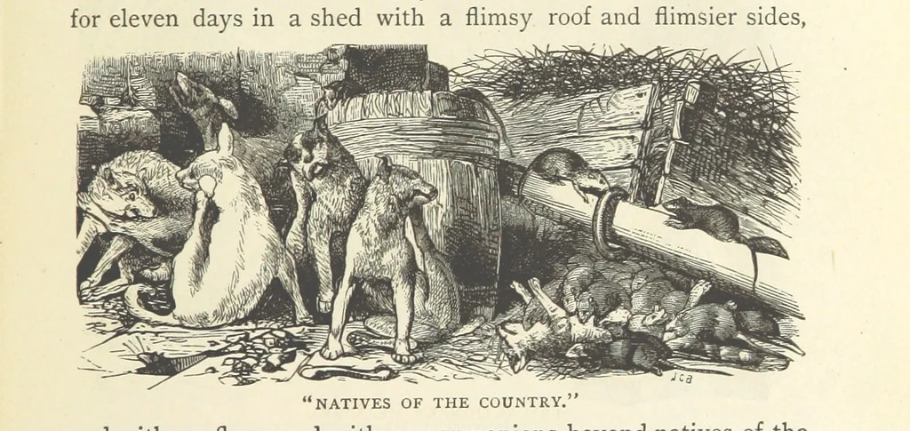 An illustration from Backsheesh! or, Life and Adventures in the Orient. With descriptive and humorous sketches. ... With ... illustrations, etc, 1875, leaf 99
