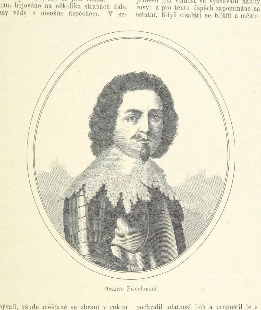 An illustration from Dějiny Cech a Moravy od roku 1620 do roku 1648. Col. 1372, 1891, leaf 409