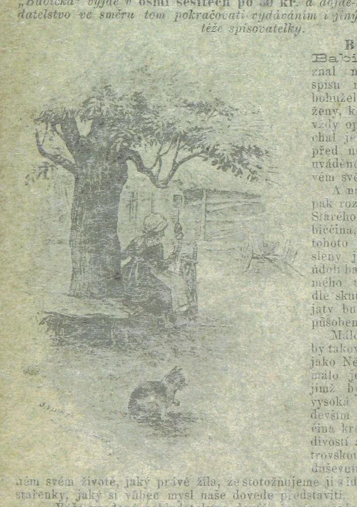 An illustration from Dějiny Cech a Moravy od roku 1620 do roku 1648. Col. 1372, 1891, leaf 706