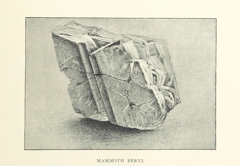 An illustration from Gems and Precious Stones of North America. A popular description of their occurrence, value, history, archæology, and of the collections in which they exist, also a chapter on pearls and on remarkable foreign gems owned in the United States. Illustrated, etc, 1890, leaf 101