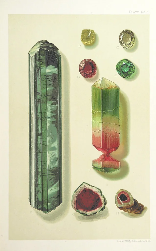 An illustration from Gems and Precious Stones of North America. A popular description of their occurrence, value, history, archæology, and of the collections in which they exist, also a chapter on pearls and on remarkable foreign gems owned in the United States. Illustrated, etc, 1890, leaf 109