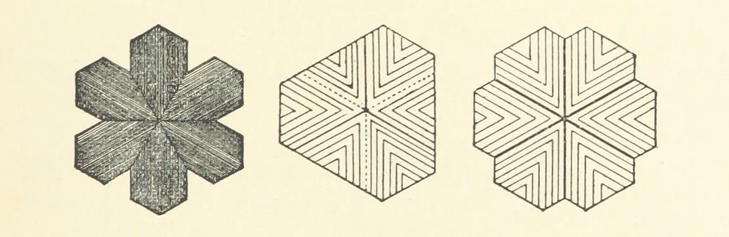 An illustration from Gems and Precious Stones of North America. A popular description of their occurrence, value, history, archæology, and of the collections in which they exist, also a chapter on pearls and on remarkable foreign gems owned in the United States. Illustrated, etc, 1890, leaf 143