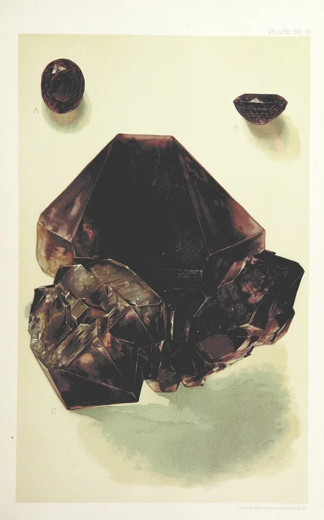 An illustration from Gems and Precious Stones of North America. A popular description of their occurrence, value, history, archæology, and of the collections in which they exist, also a chapter on pearls and on remarkable foreign gems owned in the United States. Illustrated, etc, 1890, leaf 165