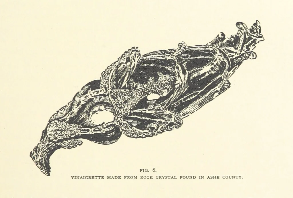 An illustration from Gems and Precious Stones of North America. A popular description of their occurrence, value, history, archæology, and of the collections in which they exist, also a chapter on pearls and on remarkable foreign gems owned in the United States. Illustrated, etc, 1890, leaf 173