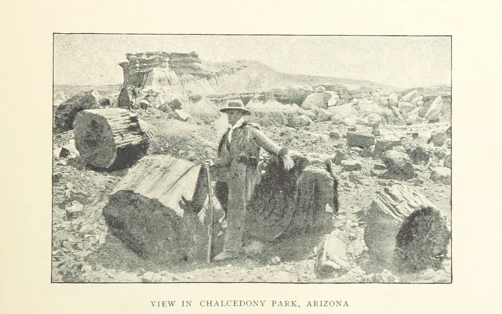 An illustration from Gems and Precious Stones of North America. A popular description of their occurrence, value, history, archæology, and of the collections in which they exist, also a chapter on pearls and on remarkable foreign gems owned in the United States. Illustrated, etc, 1890, leaf 193