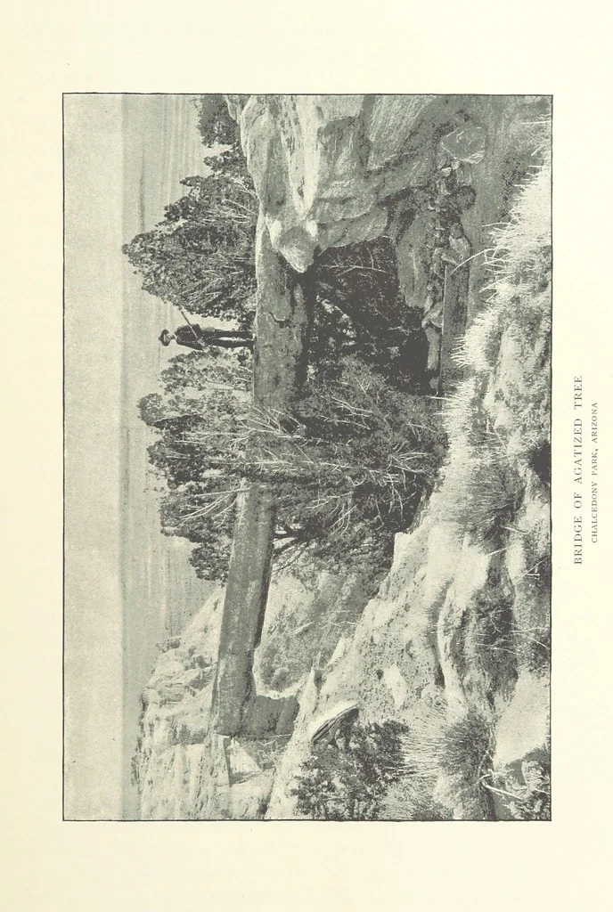 An illustration from Gems and Precious Stones of North America. A popular description of their occurrence, value, history, archæology, and of the collections in which they exist, also a chapter on pearls and on remarkable foreign gems owned in the United States. Illustrated, etc, 1890, leaf 197