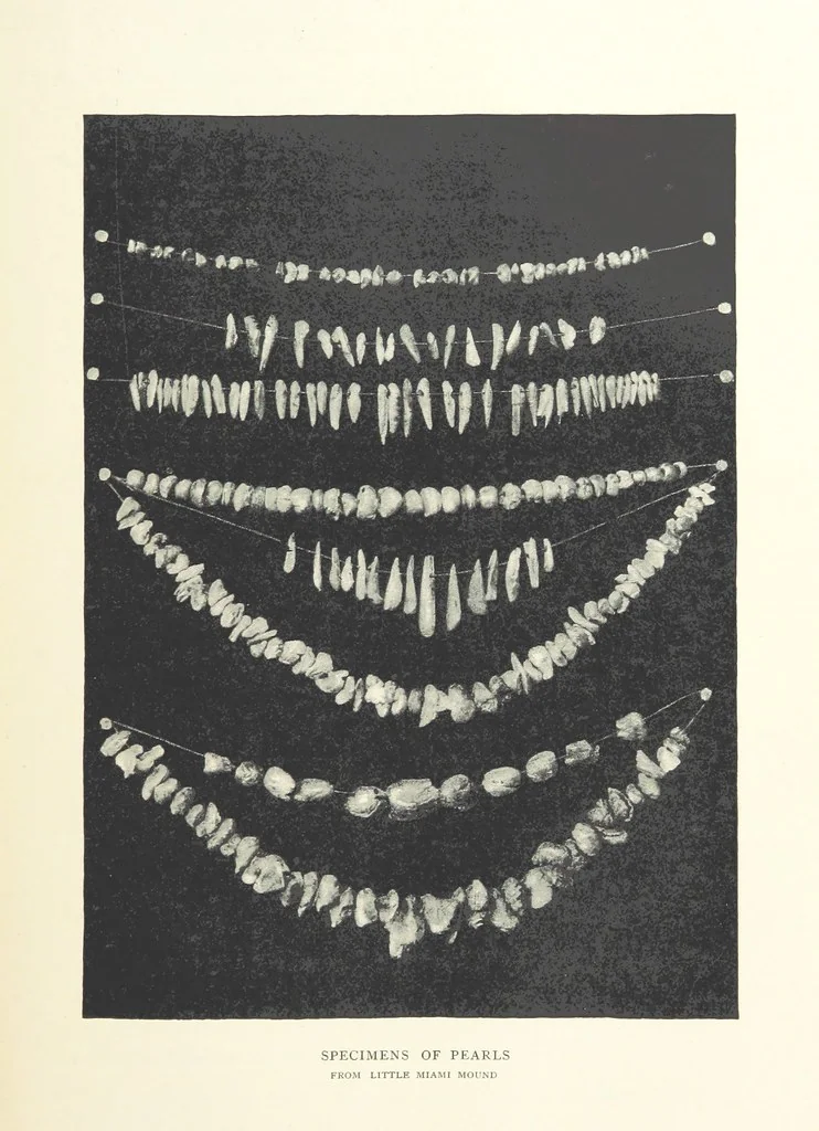 An illustration from Gems and Precious Stones of North America. A popular description of their occurrence, value, history, archæology, and of the collections in which they exist, also a chapter on pearls and on remarkable foreign gems owned in the United States. Illustrated, etc, 1890, leaf 293