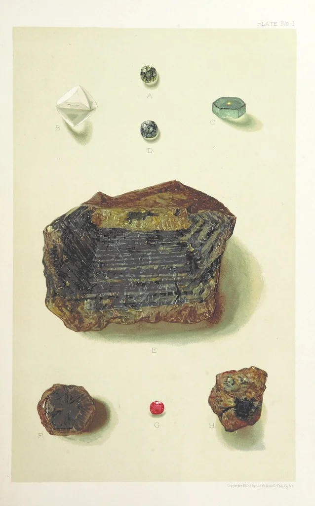 An illustration from Gems and Precious Stones of North America. A popular description of their occurrence, value, history, archæology, and of the collections in which they exist, also a chapter on pearls and on remarkable foreign gems owned in the United States. Illustrated, etc, 1890, leaf 31