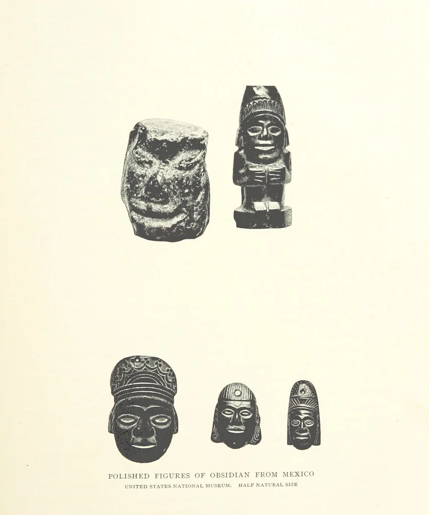An illustration from Gems and Precious Stones of North America. A popular description of their occurrence, value, history, archæology, and of the collections in which they exist, also a chapter on pearls and on remarkable foreign gems owned in the United States. Illustrated, etc, 1890, leaf 369