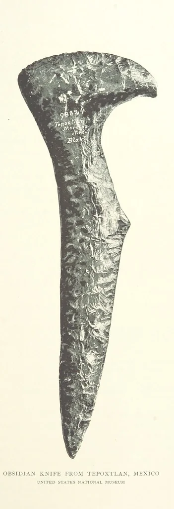 An illustration from Gems and Precious Stones of North America. A popular description of their occurrence, value, history, archæology, and of the collections in which they exist, also a chapter on pearls and on remarkable foreign gems owned in the United States. Illustrated, etc, 1890, leaf 373