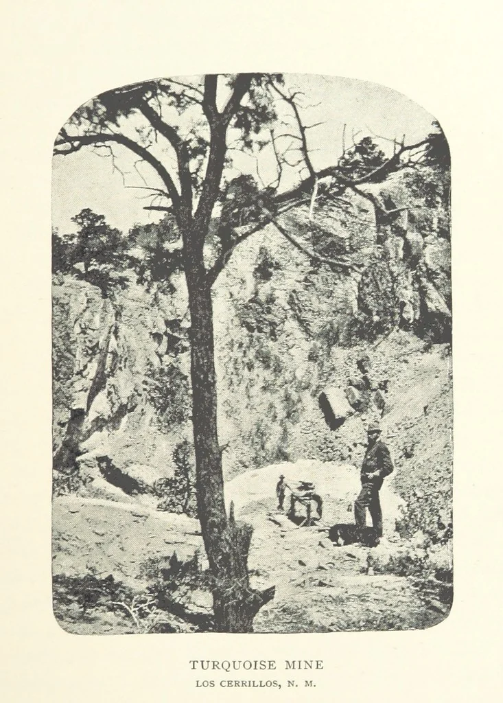 An illustration from Gems and Precious Stones of North America. A popular description of their occurrence, value, history, archæology, and of the collections in which they exist, also a chapter on pearls and on remarkable foreign gems owned in the United States. Illustrated, etc, 1890, leaf 73