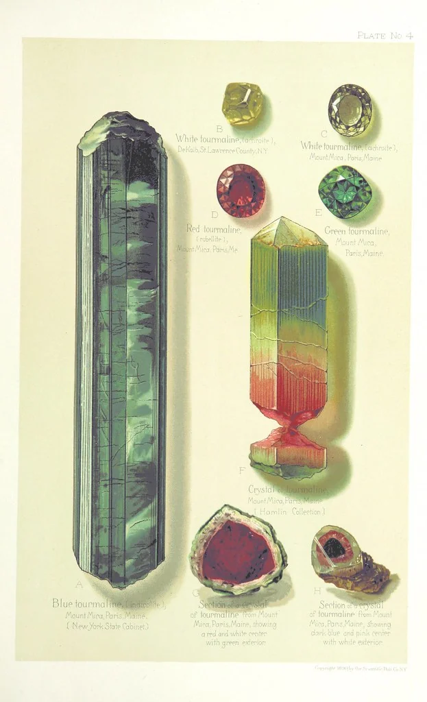 An illustration from Gems and precious stones of North America ... Second edition, with appendix, 1892, leaf 105