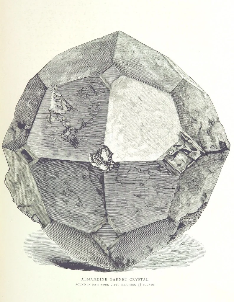 An illustration from Gems and precious stones of North America ... Second edition, with appendix, 1892, leaf 117