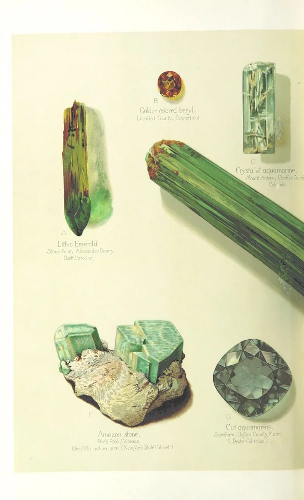 An illustration from Gems and precious stones of North America ... Second edition, with appendix, 1892, leaf 128