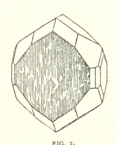 An illustration from Gems and precious stones of North America ... Second edition, with appendix, 1892, leaf 137