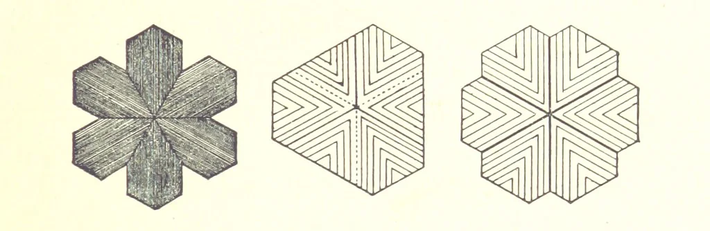 An illustration from Gems and precious stones of North America ... Second edition, with appendix, 1892, leaf 139