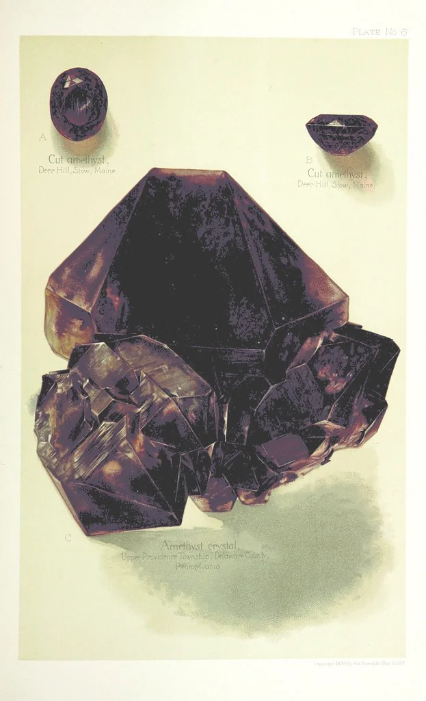 An illustration from Gems and precious stones of North America ... Second edition, with appendix, 1892, leaf 161