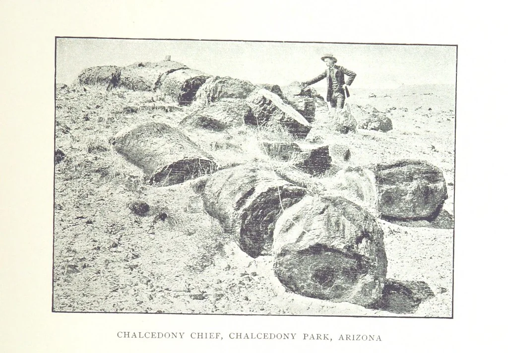 An illustration from Gems and precious stones of North America ... Second edition, with appendix, 1892, leaf 189