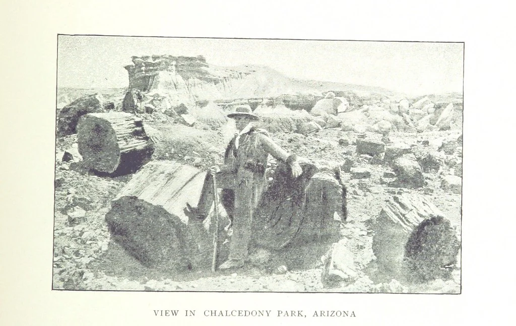 An illustration from Gems and precious stones of North America ... Second edition, with appendix, 1892, leaf 189