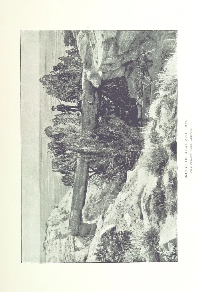 An illustration from Gems and precious stones of North America ... Second edition, with appendix, 1892, leaf 193