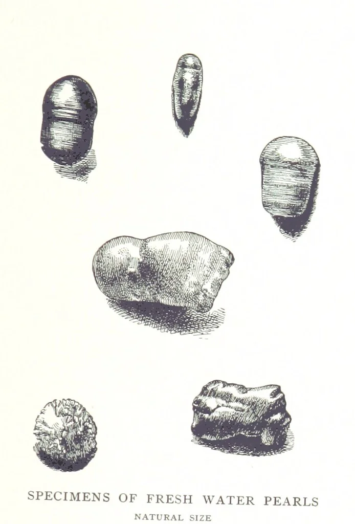 An illustration from Gems and precious stones of North America ... Second edition, with appendix, 1892, leaf 277