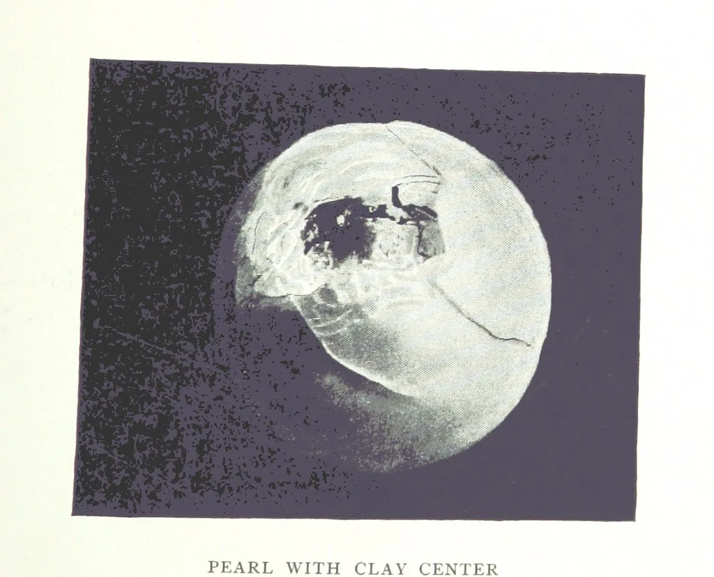 An illustration from Gems and precious stones of North America ... Second edition, with appendix, 1892, leaf 277