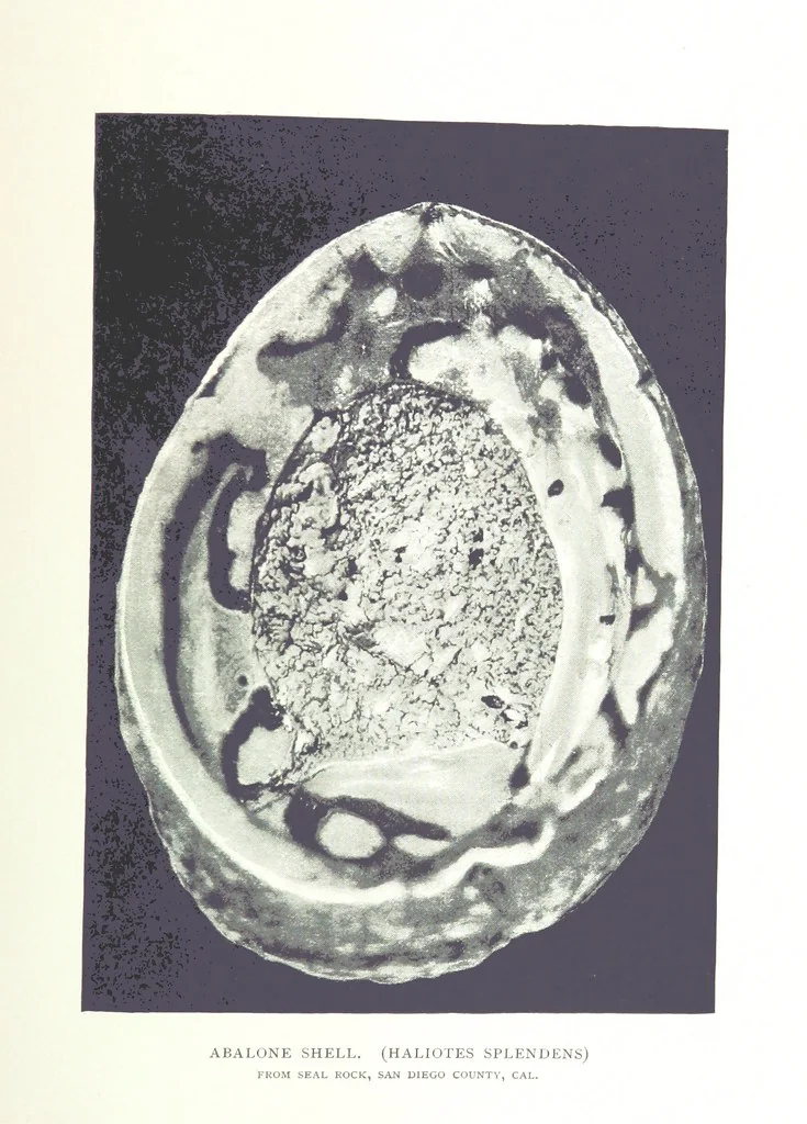 An illustration from Gems and precious stones of North America ... Second edition, with appendix, 1892, leaf 285