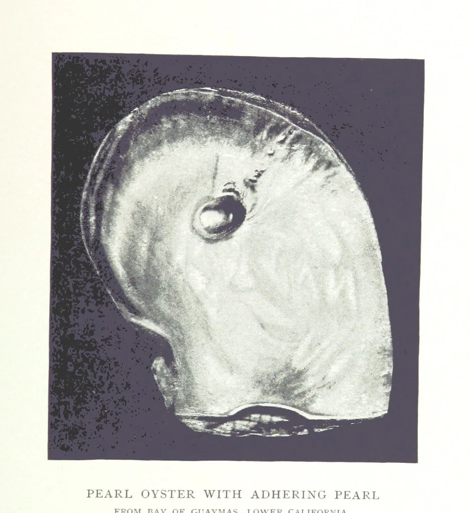 An illustration from Gems and precious stones of North America ... Second edition, with appendix, 1892, leaf 291
