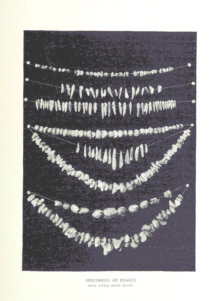 An illustration from Gems and precious stones of North America ... Second edition, with appendix, 1892, leaf 297