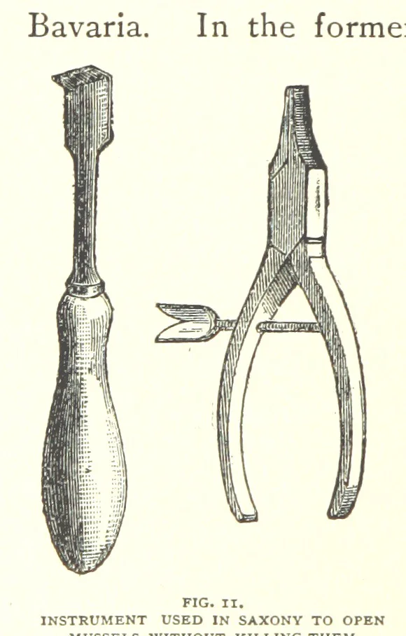 An illustration from Gems and precious stones of North America ... Second edition, with appendix, 1892, leaf 304