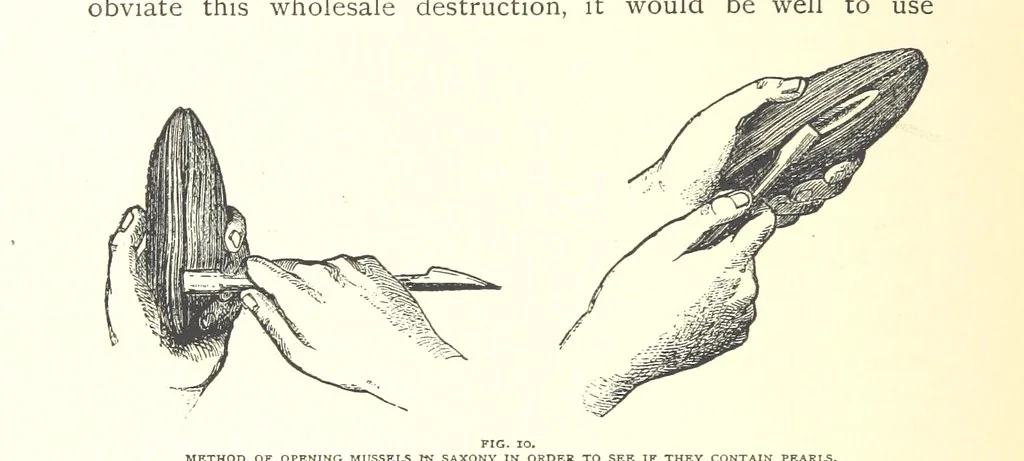 An illustration from Gems and precious stones of North America ... Second edition, with appendix, 1892, leaf 304