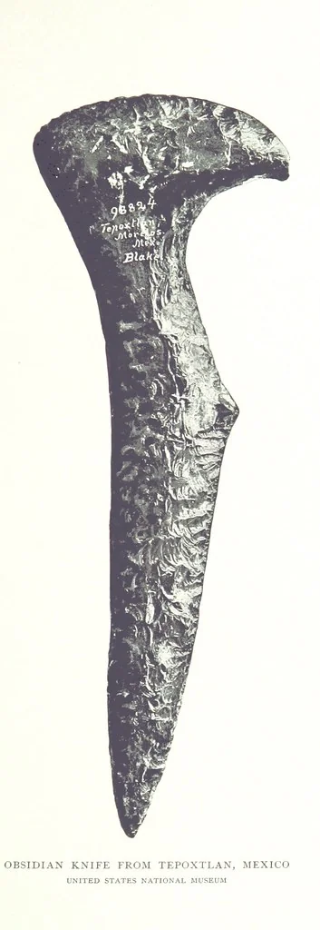 An illustration from Gems and precious stones of North America ... Second edition, with appendix, 1892, leaf 371