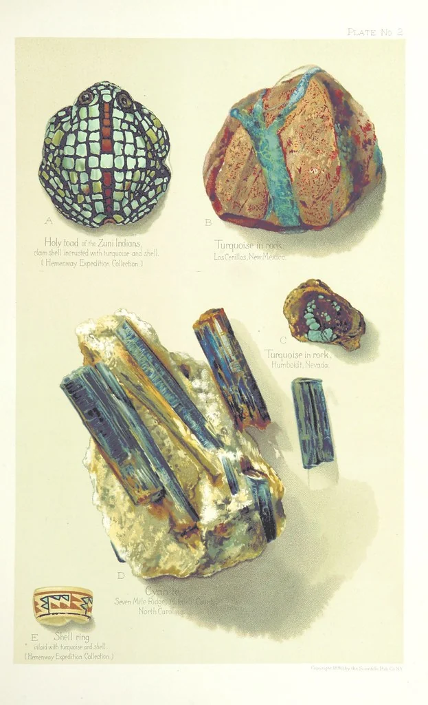 An illustration from Gems and precious stones of North America ... Second edition, with appendix, 1892, leaf 81
