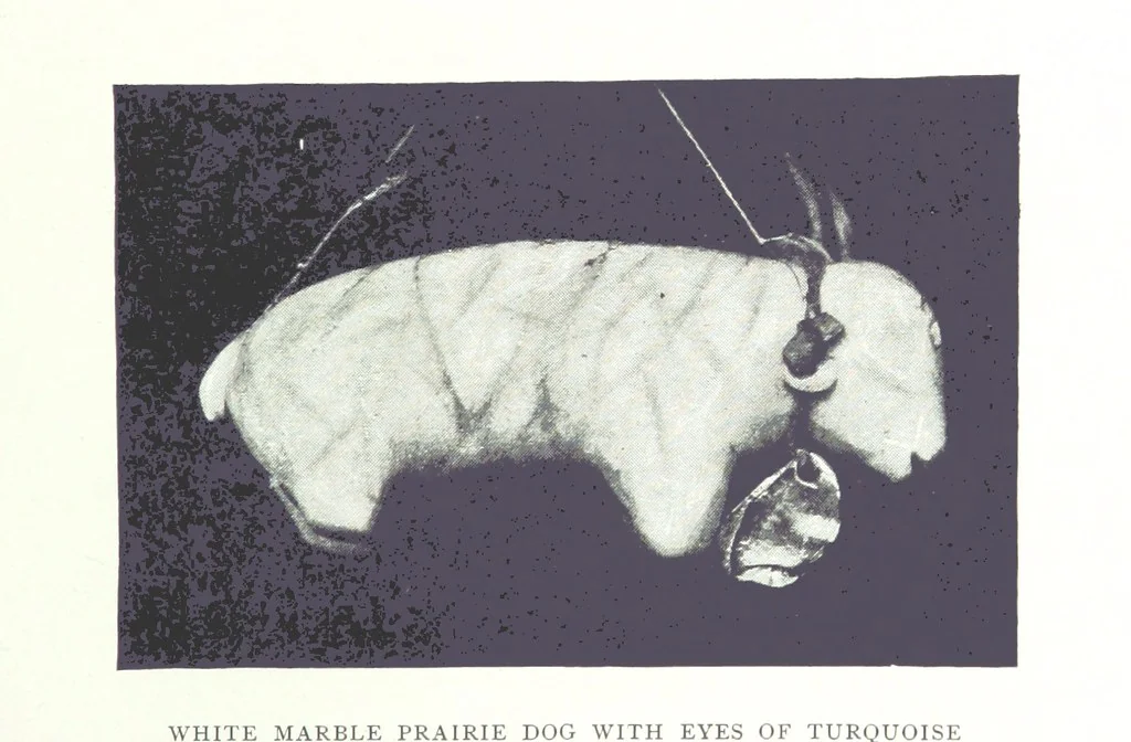 An illustration from Gems and precious stones of North America ... Second edition, with appendix, 1892, leaf 85