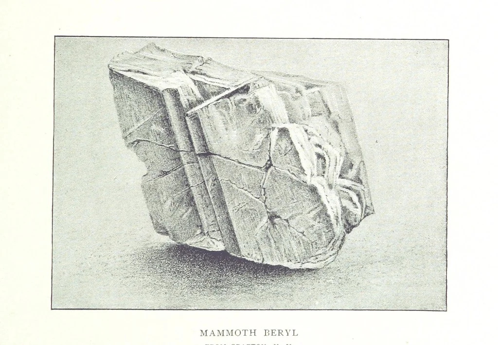 An illustration from Gems and precious stones of North America ... Second edition, with appendix, 1892, leaf 97