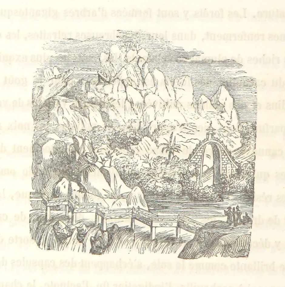 An illustration from Voyage aux pays aurifères, Afrique, Mexique, Californie, Pérou, Chili, Nouvelle-Calédonie, Australie, Russie ... illustré par J. B. Arnout, père, 1855, leaf 196