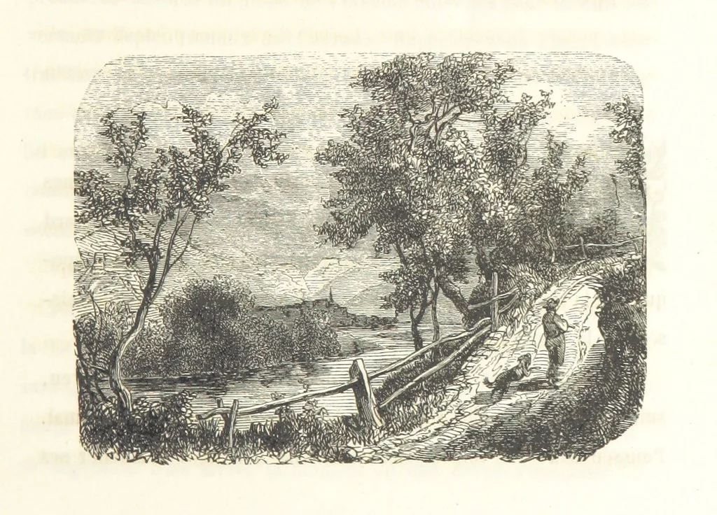 An illustration from Voyage aux pays aurifères, Afrique, Mexique, Californie, Pérou, Chili, Nouvelle-Calédonie, Australie, Russie ... illustré par J. B. Arnout, père, 1855, leaf 21