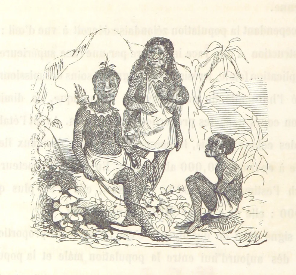 An illustration from Voyage aux pays aurifères, Afrique, Mexique, Californie, Pérou, Chili, Nouvelle-Calédonie, Australie, Russie ... illustré par J. B. Arnout, père, 1855, leaf 220