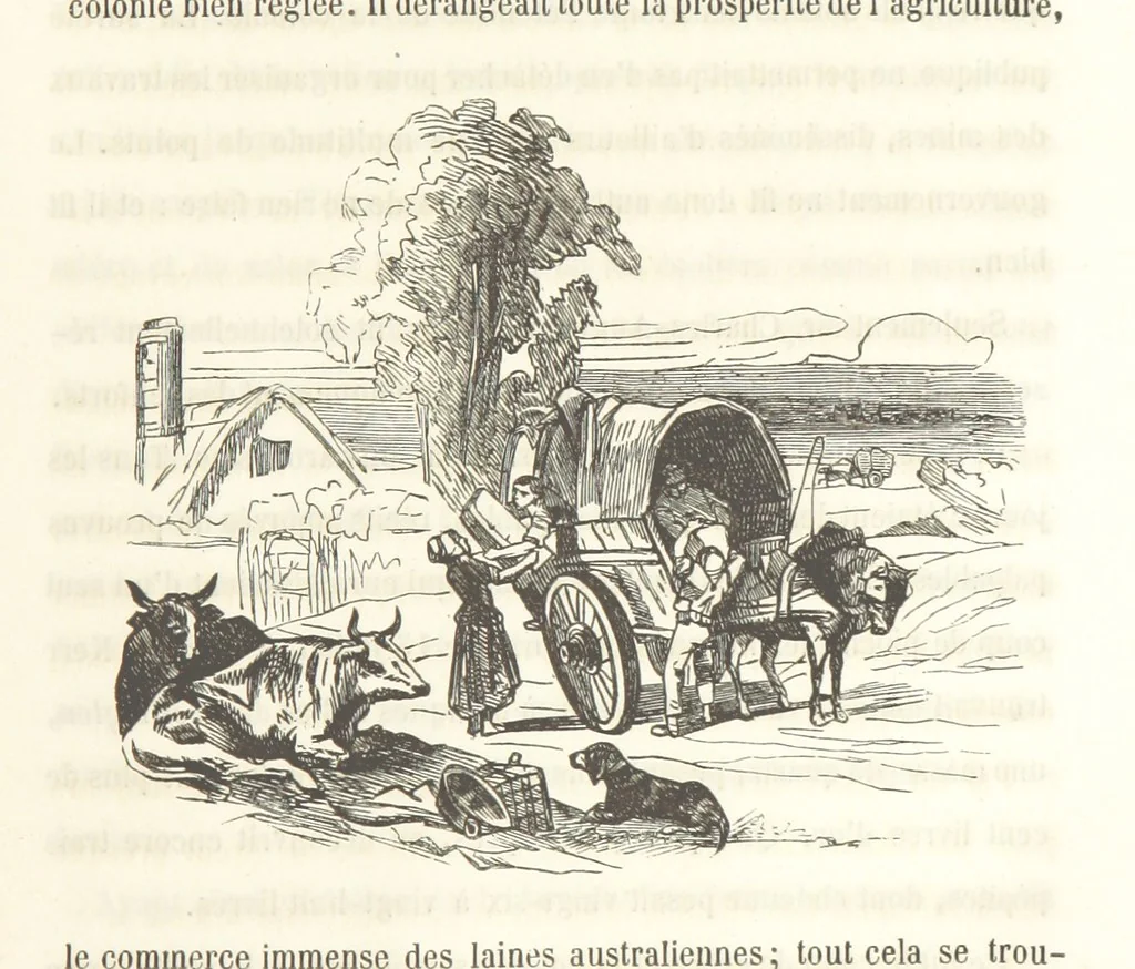 An illustration from Voyage aux pays aurifères, Afrique, Mexique, Californie, Pérou, Chili, Nouvelle-Calédonie, Australie, Russie ... illustré par J. B. Arnout, père, 1855, leaf 235