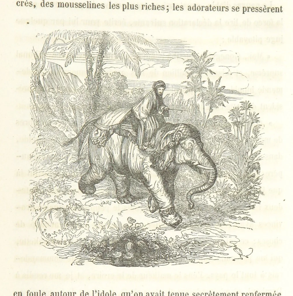 An illustration from Voyage aux pays aurifères, Afrique, Mexique, Californie, Pérou, Chili, Nouvelle-Calédonie, Australie, Russie ... illustré par J. B. Arnout, père, 1855, leaf 313