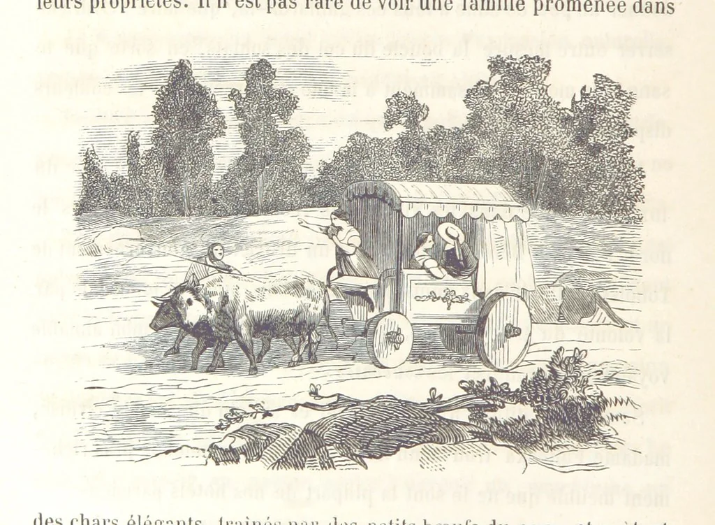 An illustration from Voyage aux pays aurifères, Afrique, Mexique, Californie, Pérou, Chili, Nouvelle-Calédonie, Australie, Russie ... illustré par J. B. Arnout, père, 1855, leaf 348