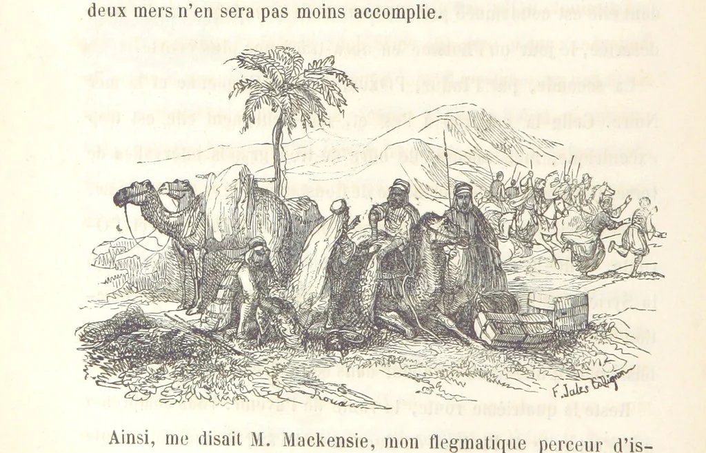 An illustration from Voyage aux pays aurifères, Afrique, Mexique, Californie, Pérou, Chili, Nouvelle-Calédonie, Australie, Russie ... illustré par J. B. Arnout, père, 1855, leaf 352