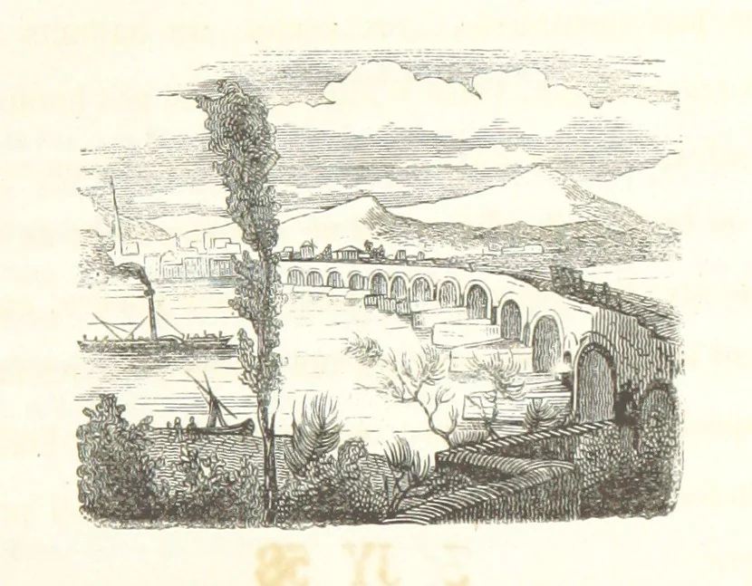 An illustration from Voyage aux pays aurifères, Afrique, Mexique, Californie, Pérou, Chili, Nouvelle-Calédonie, Australie, Russie ... illustré par J. B. Arnout, père, 1855, leaf 355