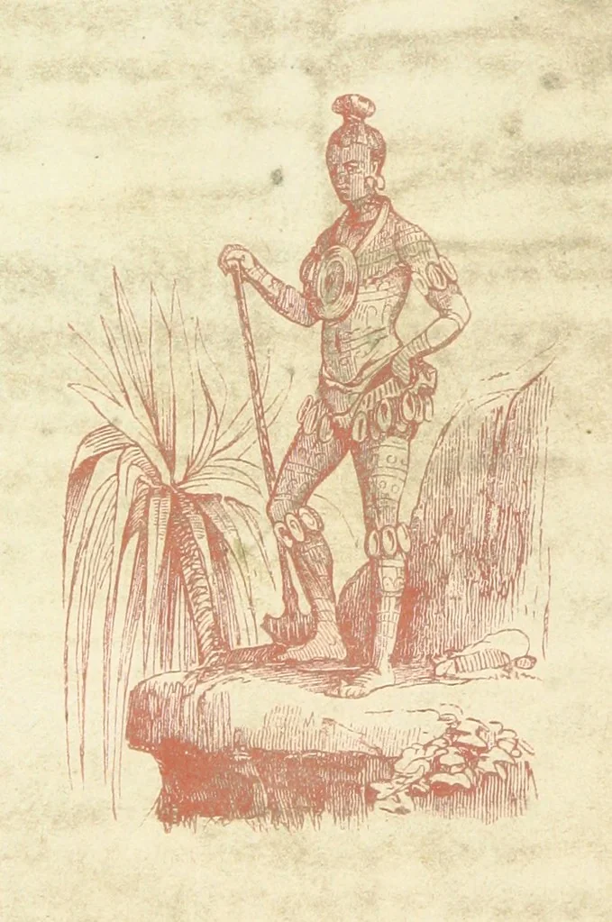 An illustration from Voyage aux pays aurifères, Afrique, Mexique, Californie, Pérou, Chili, Nouvelle-Calédonie, Australie, Russie ... illustré par J. B. Arnout, père, 1855, leaf 362